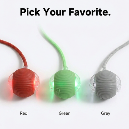 Glowing Self-Rolling Ball for Cats — USB Rechargeable