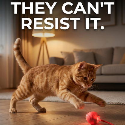Glowing Self-Rolling Ball for Cats — USB Rechargeable